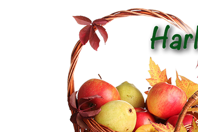 Harlacher Fruchtwein