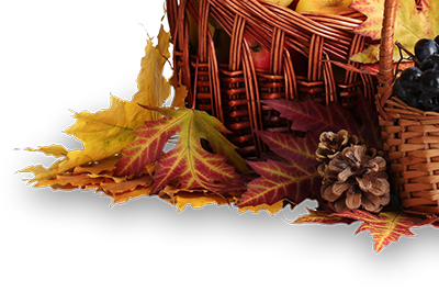 Harlacher Fruchtwein